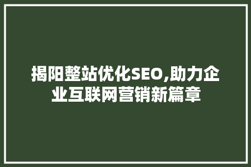 揭阳整站优化SEO,助力企业互联网营销新篇章