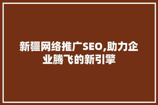 新疆网络推广SEO,助力企业腾飞的新引擎