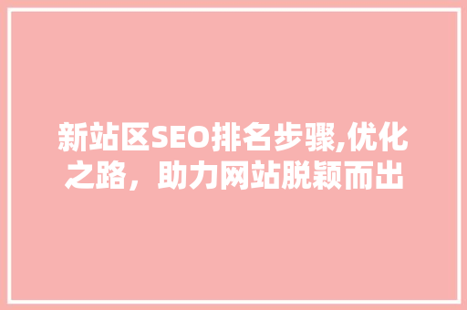 新站区SEO排名步骤,优化之路，助力网站脱颖而出