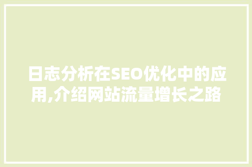 日志分析在SEO优化中的应用,介绍网站流量增长之路