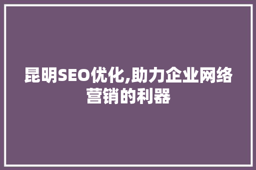 昆明SEO优化,助力企业网络营销的利器