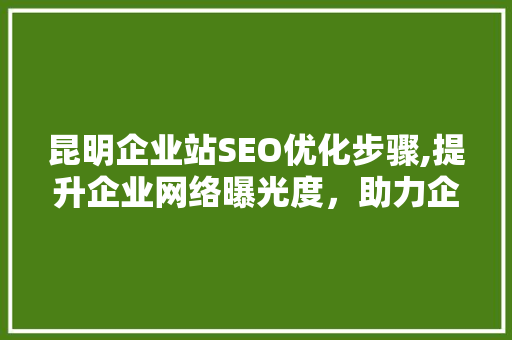 昆明企业站SEO优化步骤,提升企业网络曝光度，助力企业腾飞  第1张