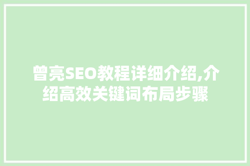 曾亮SEO教程详细介绍,介绍高效关键词布局步骤