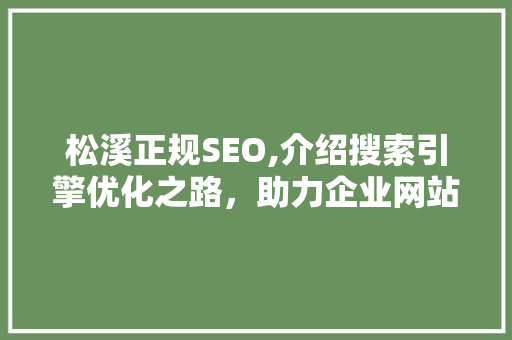 松溪正规SEO,介绍搜索引擎优化之路，助力企业网站腾飞