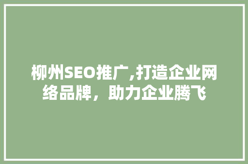 柳州SEO推广,打造企业网络品牌，助力企业腾飞