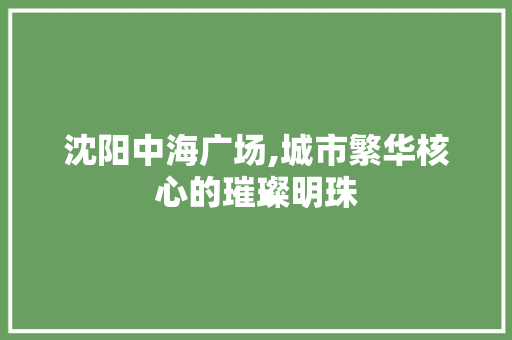 沈阳中海广场,城市繁华核心的璀璨明珠