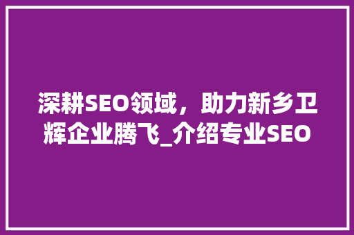 深耕SEO领域，助力新乡卫辉企业腾飞_介绍专业SEO服务步骤