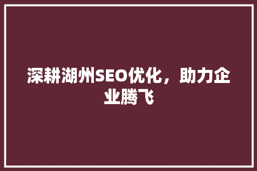 深耕湖州SEO优化，助力企业腾飞