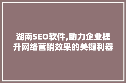 湖南SEO软件,助力企业提升网络营销效果的关键利器