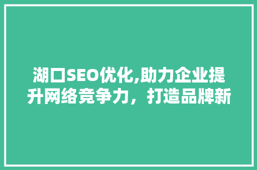 湖口SEO优化,助力企业提升网络竞争力，打造品牌新高度