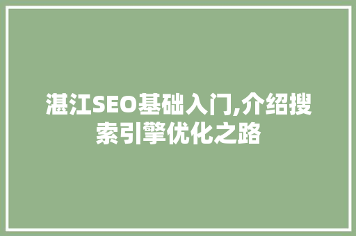 湛江SEO基础入门,介绍搜索引擎优化之路