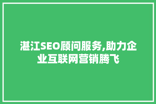 湛江SEO顾问服务,助力企业互联网营销腾飞
