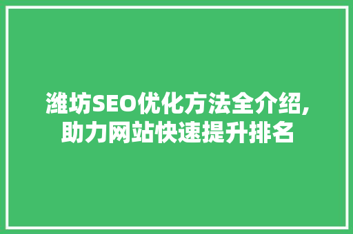 潍坊SEO优化方法全介绍,助力网站快速提升排名