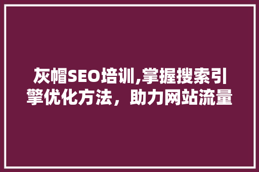 灰帽SEO培训,掌握搜索引擎优化方法，助力网站流量提升