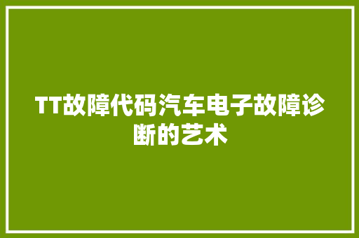 TT故障代码汽车电子故障诊断的艺术