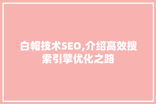 白帽技术SEO,介绍高效搜索引擎优化之路