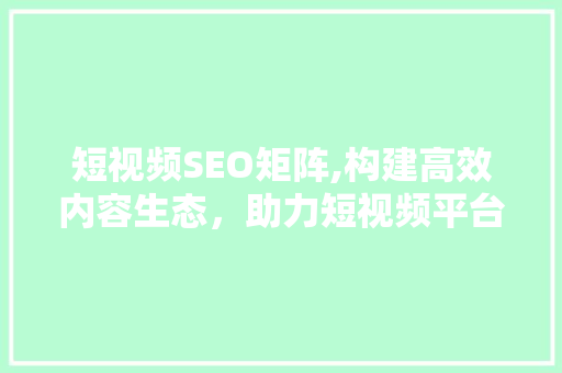 短视频SEO矩阵,构建高效内容生态，助力短视频平台崛起