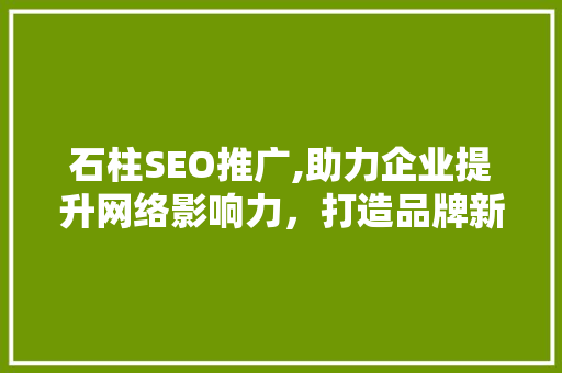 石柱SEO推广,助力企业提升网络影响力，打造品牌新高度