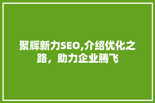 聚辉新力SEO,介绍优化之路，助力企业腾飞
