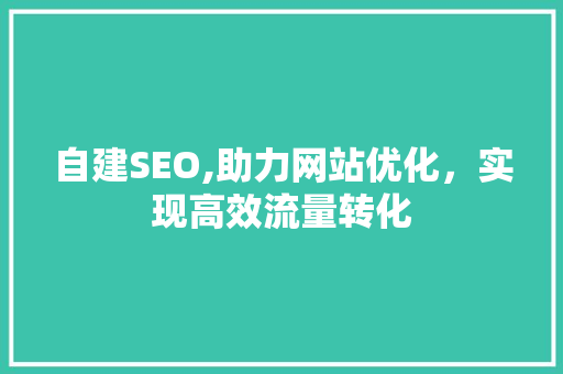 自建SEO,助力网站优化，实现高效流量转化
