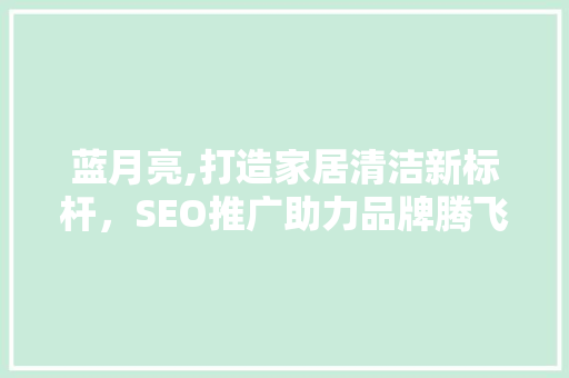 蓝月亮,打造家居清洁新标杆，SEO推广助力品牌腾飞