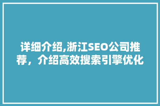 详细介绍,浙江SEO公司推荐，介绍高效搜索引擎优化步骤