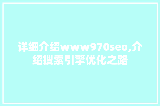 详细介绍www970seo,介绍搜索引擎优化之路