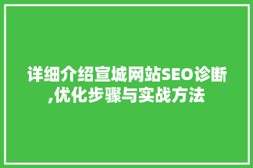详细介绍宣城网站SEO诊断,优化步骤与实战方法