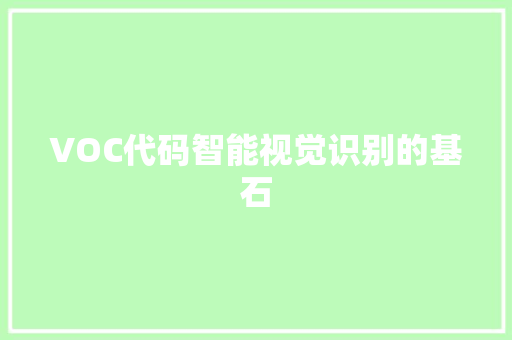 VOC代码智能视觉识别的基石