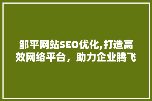 邹平网站SEO优化,打造高效网络平台，助力企业腾飞