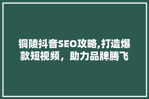 铜陵抖音SEO攻略,打造爆款短视频，助力品牌腾飞