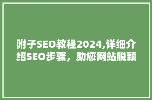 附子SEO教程2024,详细介绍SEO步骤，助您网站脱颖而出