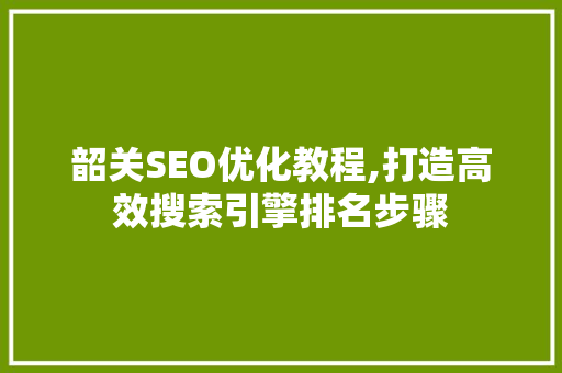 韶关SEO优化教程,打造高效搜索引擎排名步骤