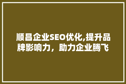 顺昌企业SEO优化,提升品牌影响力，助力企业腾飞