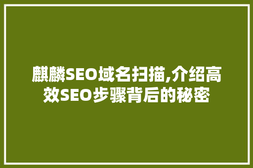麒麟SEO域名扫描,介绍高效SEO步骤背后的秘密