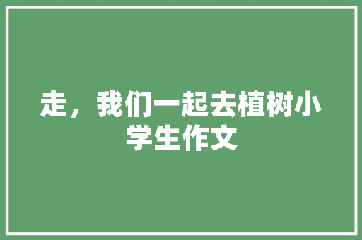 龙岗SEO操作教程,助力企业互联网营销新篇章