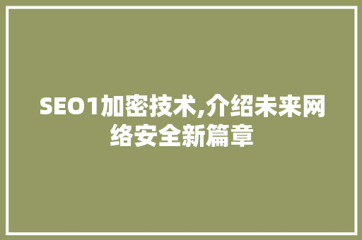 SEO1加密技术,介绍未来网络安全新篇章