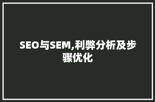 SEO与SEM,利弊分析及步骤优化