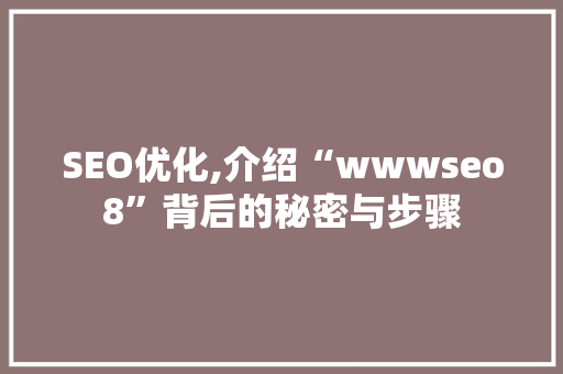 SEO优化,介绍“wwwseo8”背后的秘密与步骤