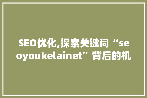 SEO优化,探索关键词“seoyoukelainet”背后的机遇与挑战