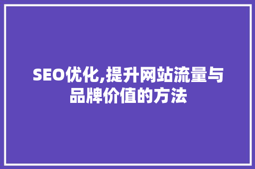 SEO优化,提升网站流量与品牌价值的方法