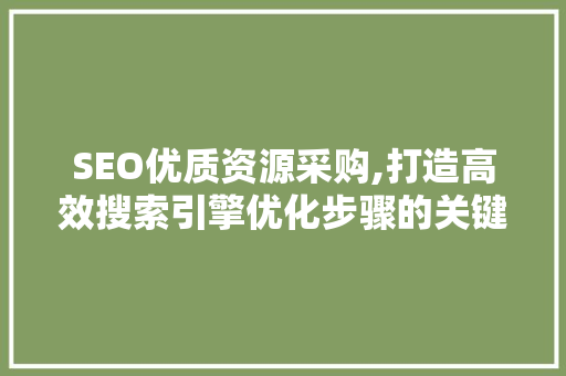 SEO优质资源采购,打造高效搜索引擎优化步骤的关键一环