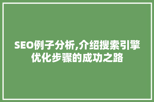 SEO例子分析,介绍搜索引擎优化步骤的成功之路
