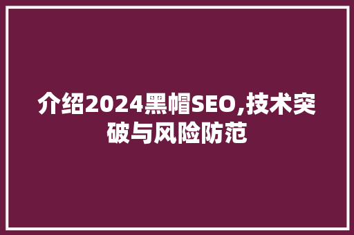 介绍2024黑帽SEO,技术突破与风险防范