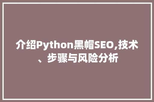 介绍Python黑帽SEO,技术、步骤与风险分析
