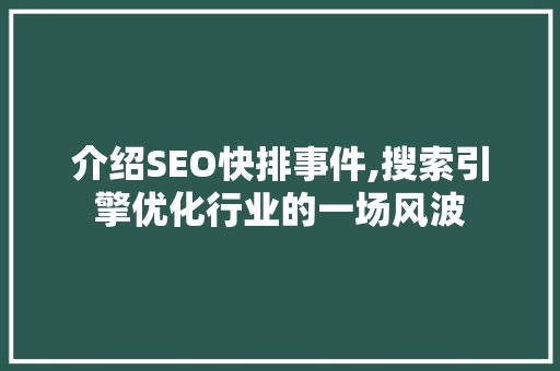 介绍SEO快排事件,搜索引擎优化行业的一场风波