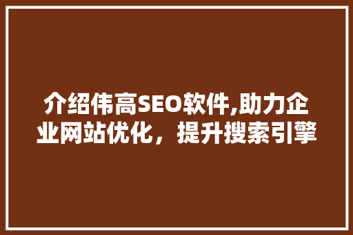 介绍伟高SEO软件,助力企业网站优化，提升搜索引擎排名