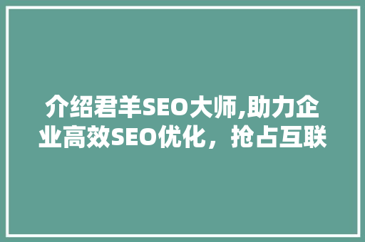 介绍君羊SEO大师,助力企业高效SEO优化，抢占互联网市场先机