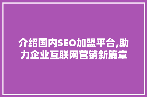 介绍国内SEO加盟平台,助力企业互联网营销新篇章