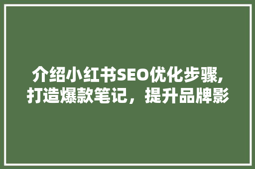 介绍小红书SEO优化步骤,打造爆款笔记，提升品牌影响力